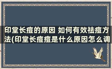 印堂长痘的原因 如何有效祛痘方法(印堂长痘痘是什么原因怎么调理)